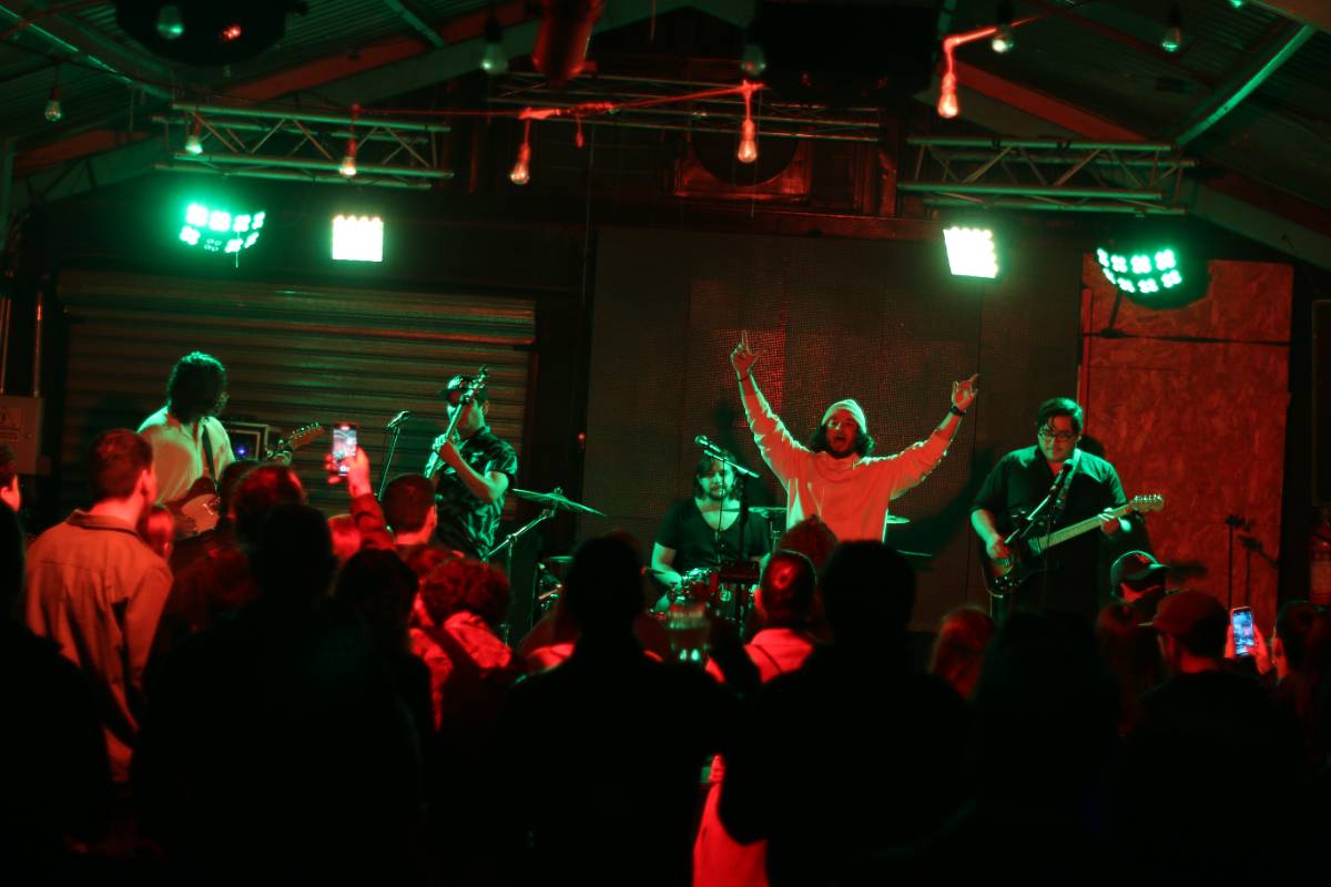Plastic Animal live