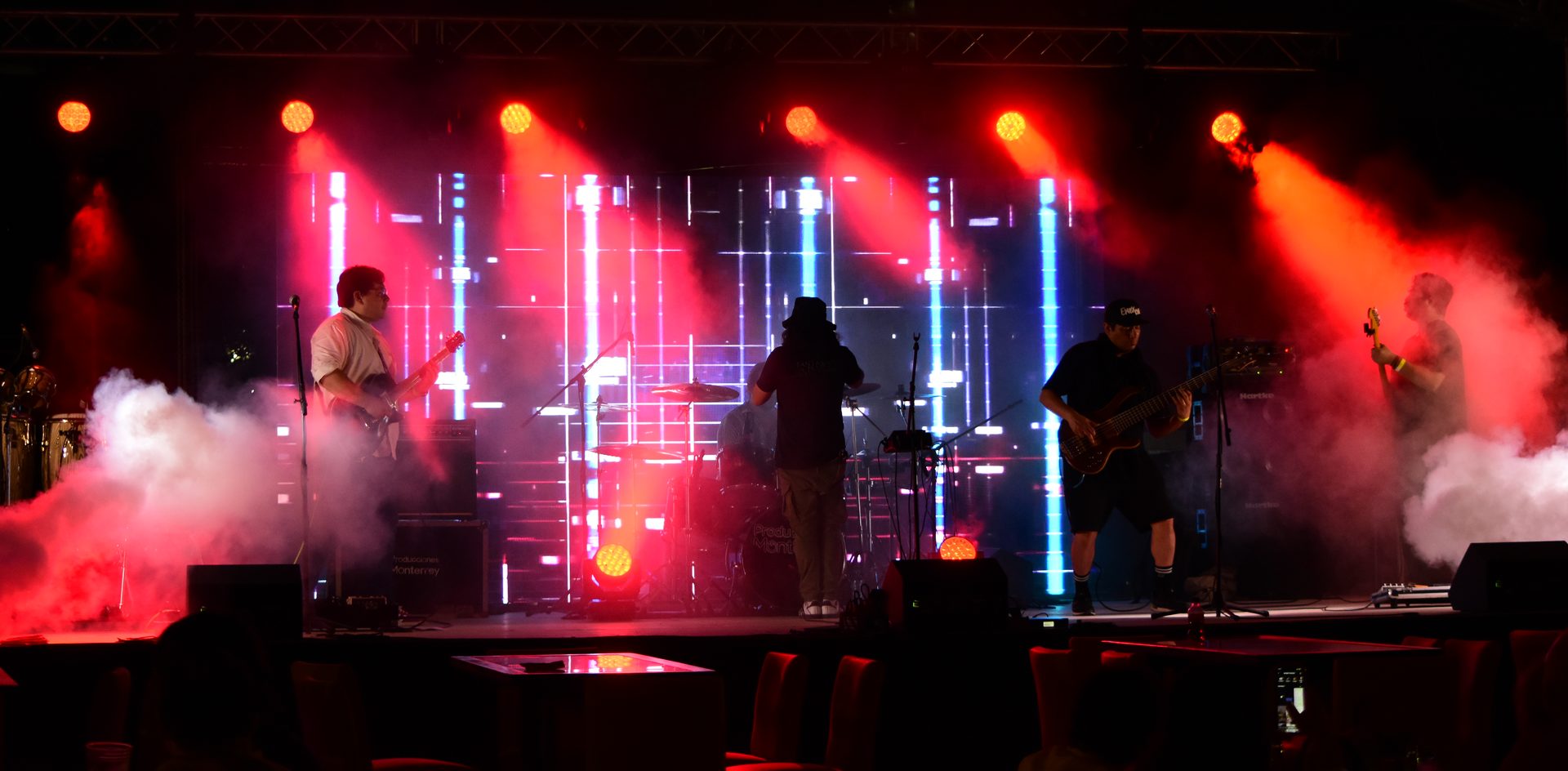 Plastic Animal live