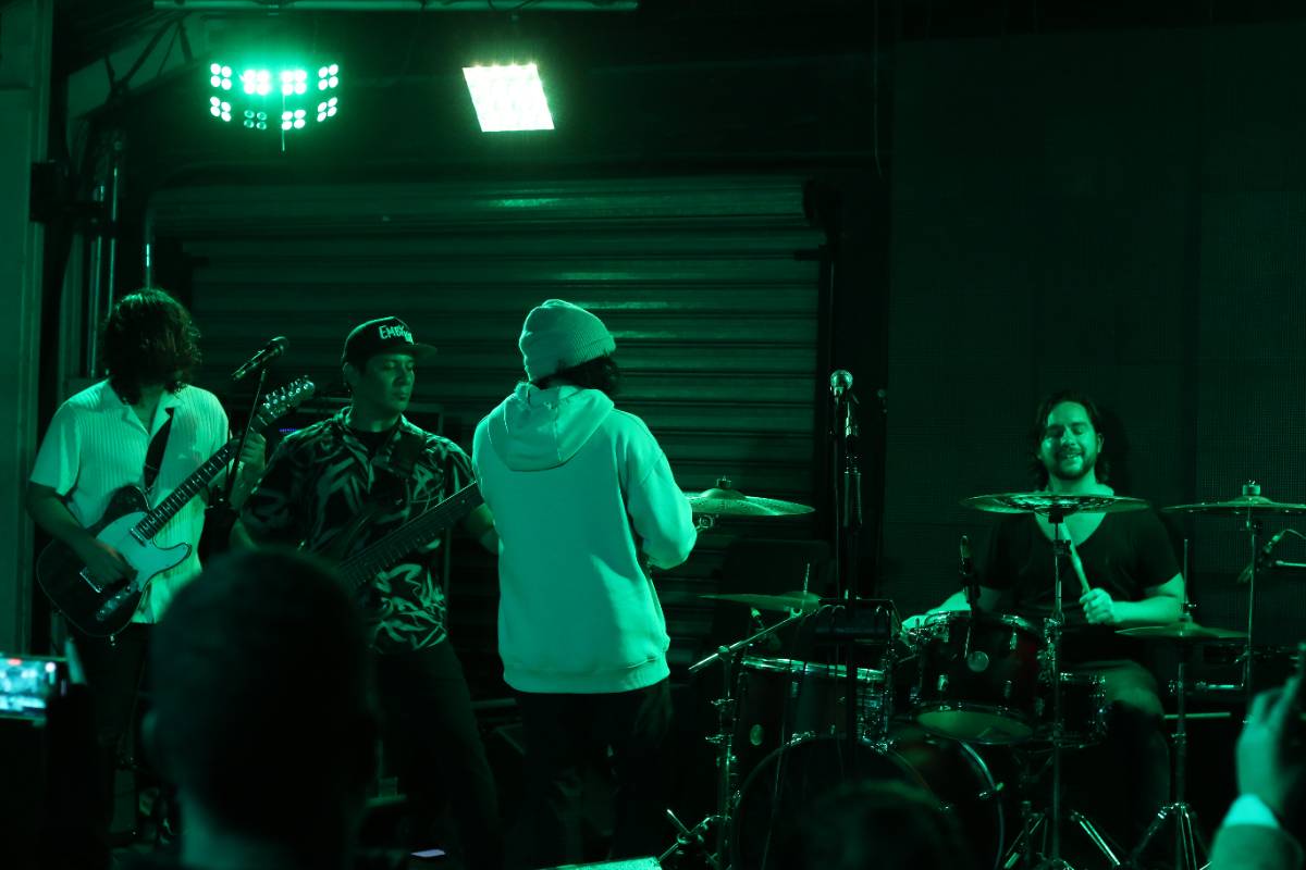 Plastic Animal live